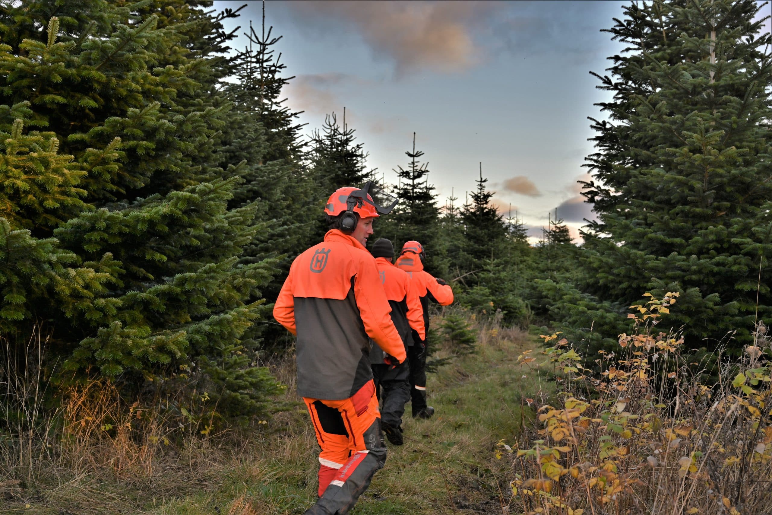Forestry Team