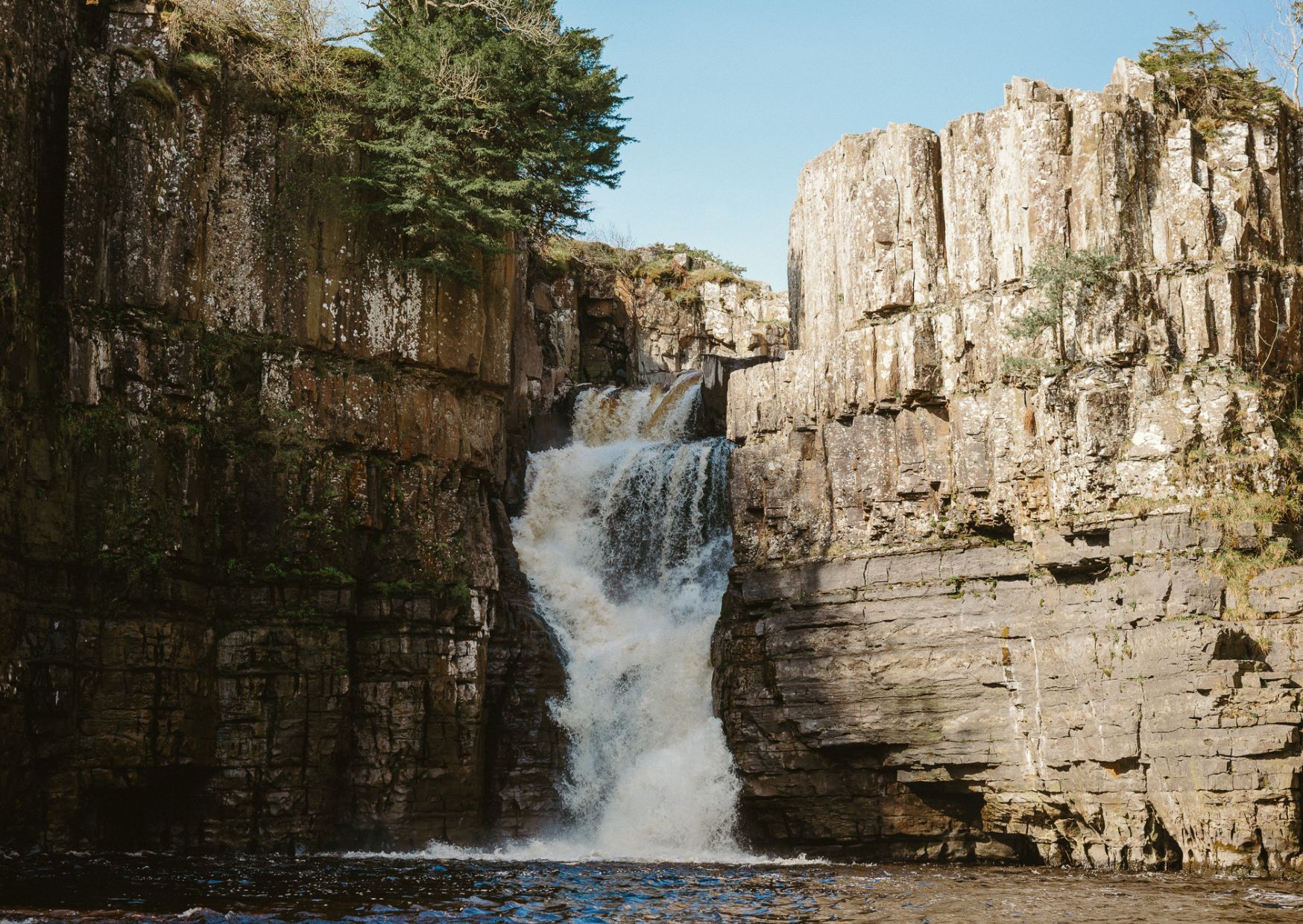 High Force Group Visits