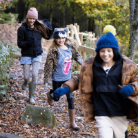 Educational Visits to High Force
