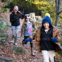 Educational Visits to High Force