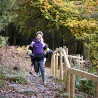 High Force Autumn Family