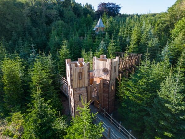 The Plotters' Forest