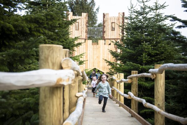 The Plotters' Forest Playground