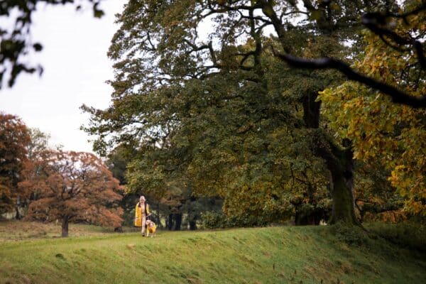 Dogs at Raby Castle