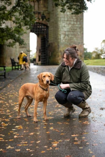 Raby Deer Park Dog Friendly Destinations County Durham