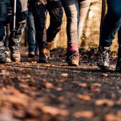 Business activities at Raby Castle and High Force