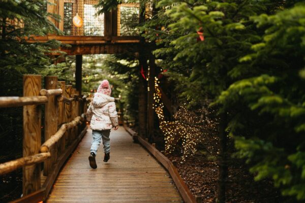 The Plotters' Forest Christmas Trail The-Plotters-Forest-Enchanted-Christmas-Trail