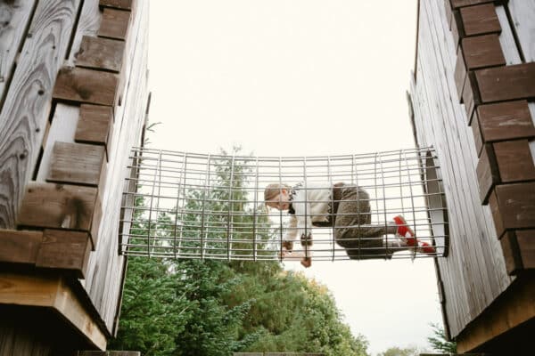 The Plotters' Forest outdoor adventure playground, Raby Castle, Park and Gardens
