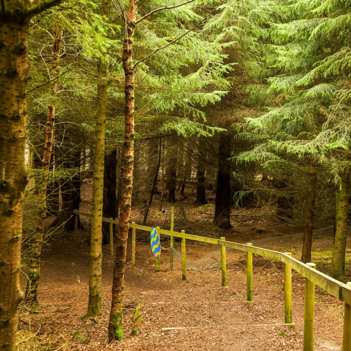 Easter Trail At High Force