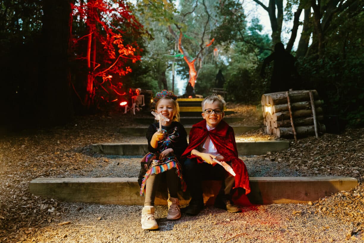 Halloween After Dark in The Plotters’ Forest. Raby Castle, Park & Gardens