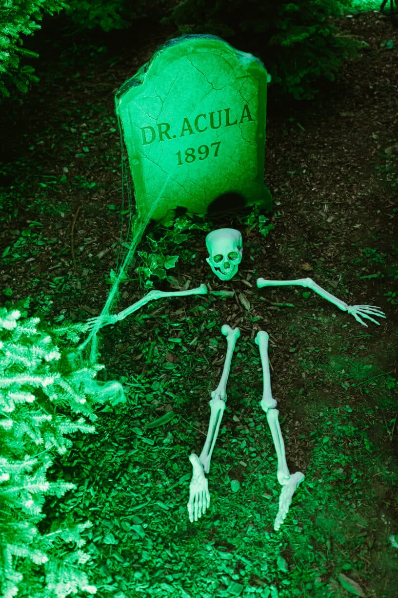 Halloween After Dark in The Plotters’ Forest. Raby Castle, Park & Gardens