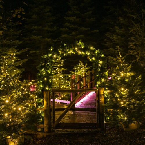 Festive Trail