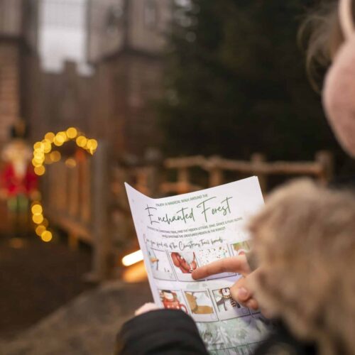The Enchanted Forest Trail