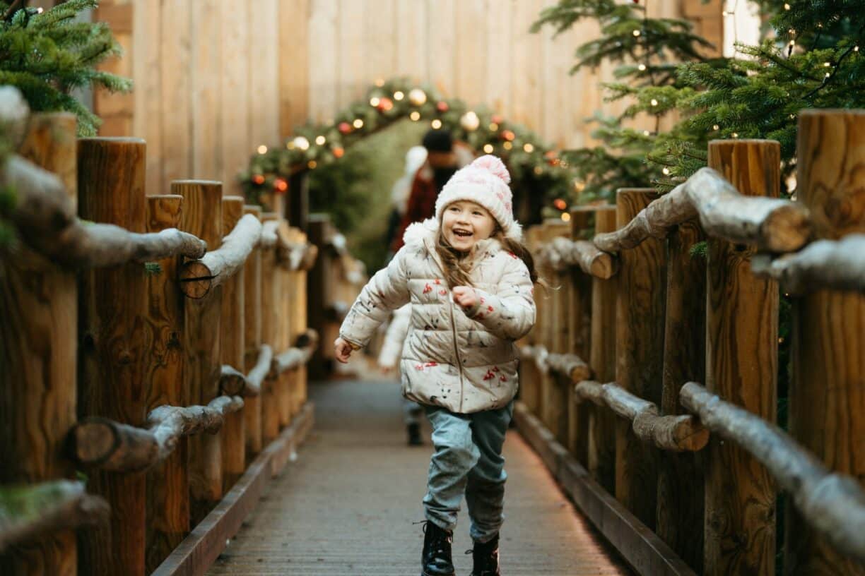 The Plotters Forest Enchanted Christmas Trail