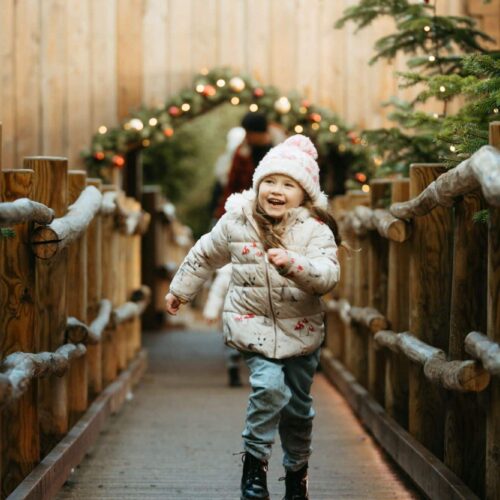 The Plotters Forest Enchanted Christmas Trail