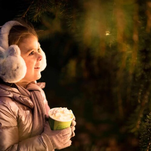The Plotters Forest Enchanted Christmas Trail