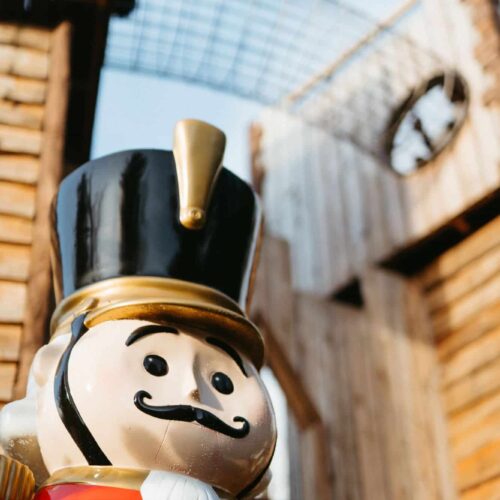 The Plotters Forest Enchanted Christmas Trail
