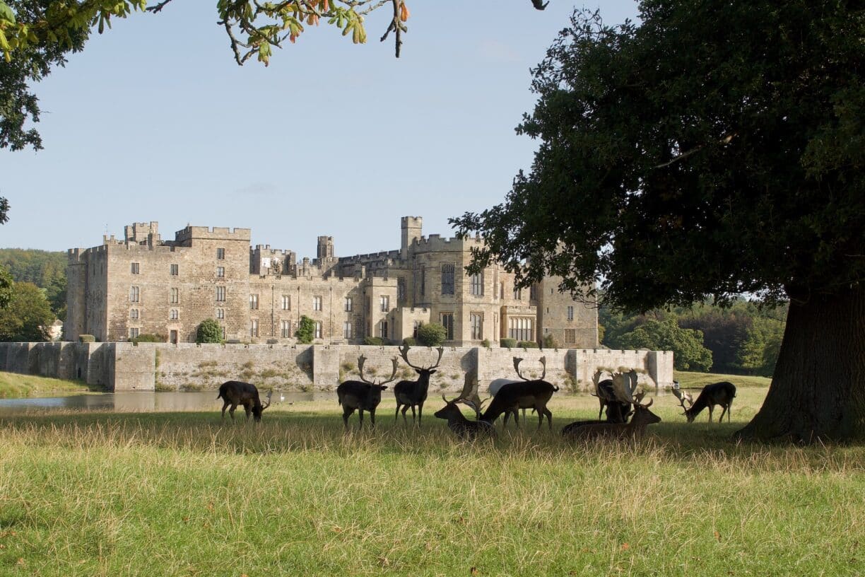 Deer Castle at Raby Castle, Photography by Peter Gunton