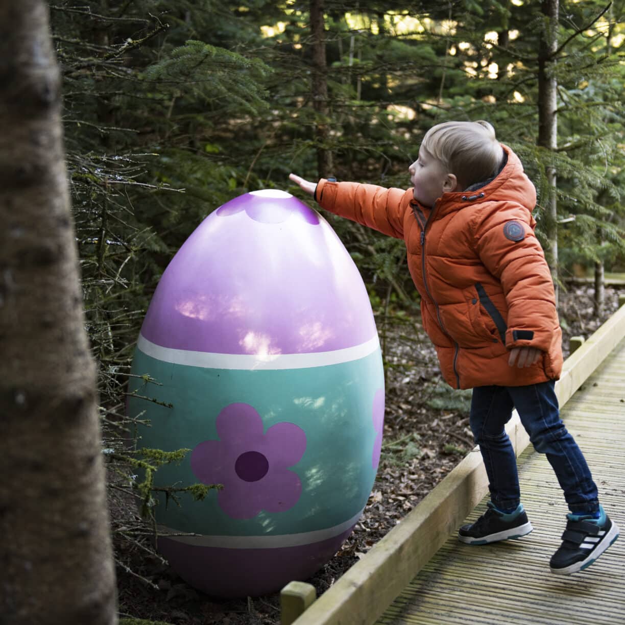 plotters forest little eggsplorers trail RABY CASTLE easter holidays county durham