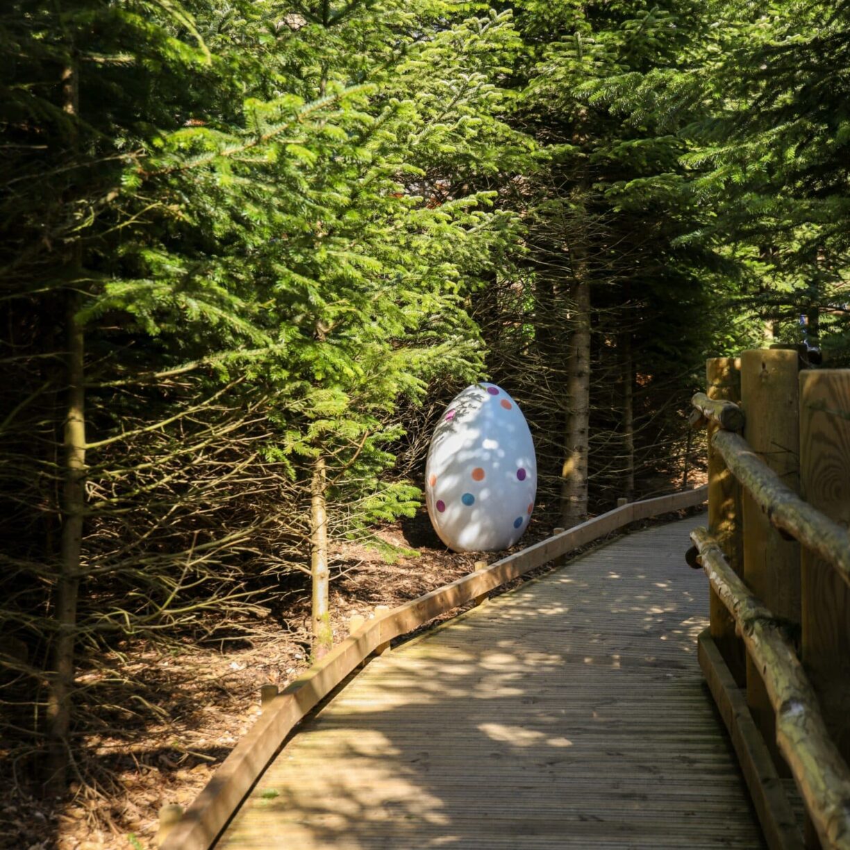 Easter Egg Hunt in The Plotters' Forest