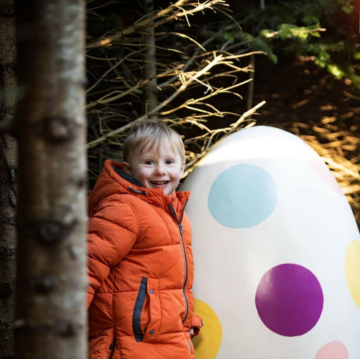 eggsplorers-easter-egg-hunt-in-the-plotters-forest-at-raby-castle-this-easter-holidays-county-durham