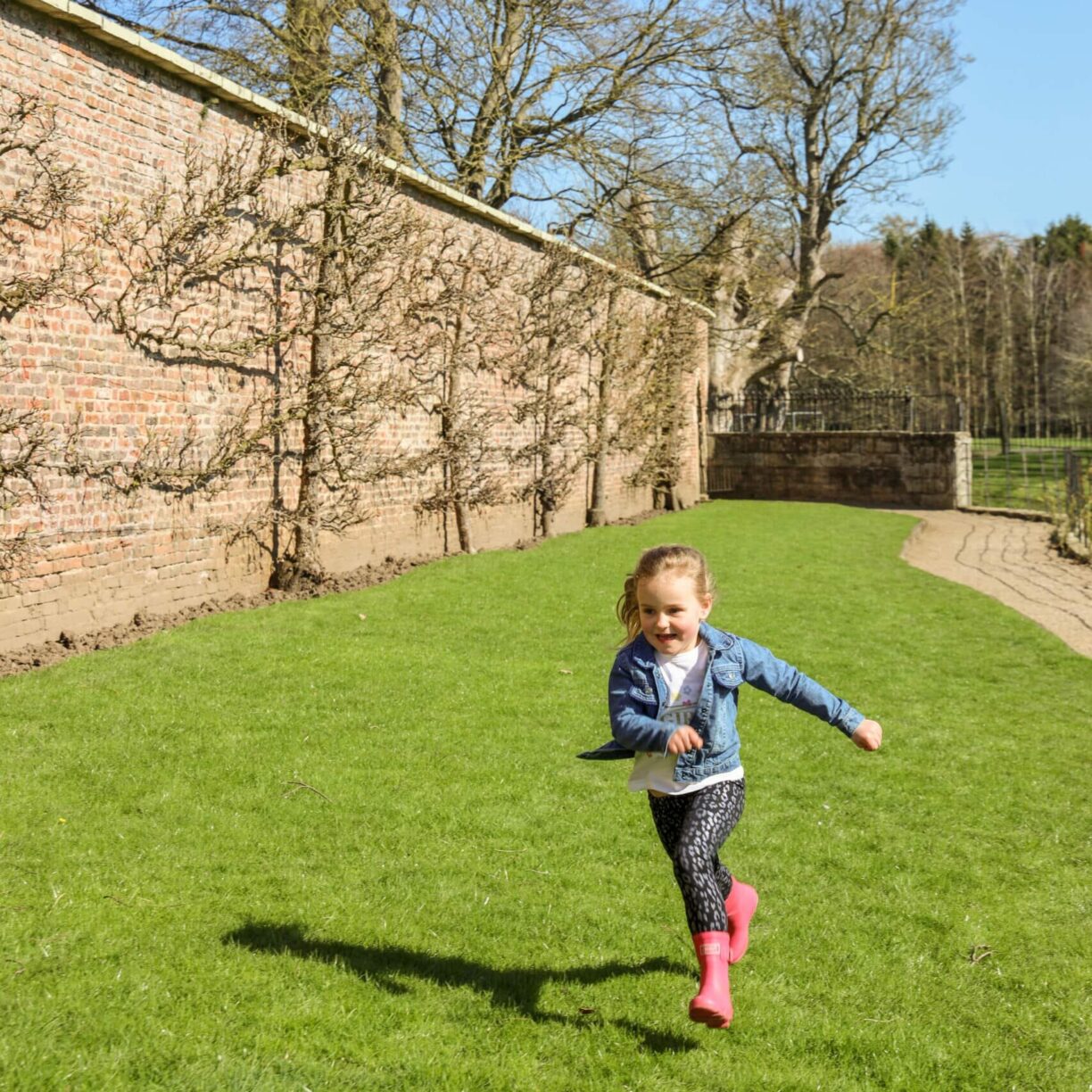 Bunny Hop Trail in The Deer Park