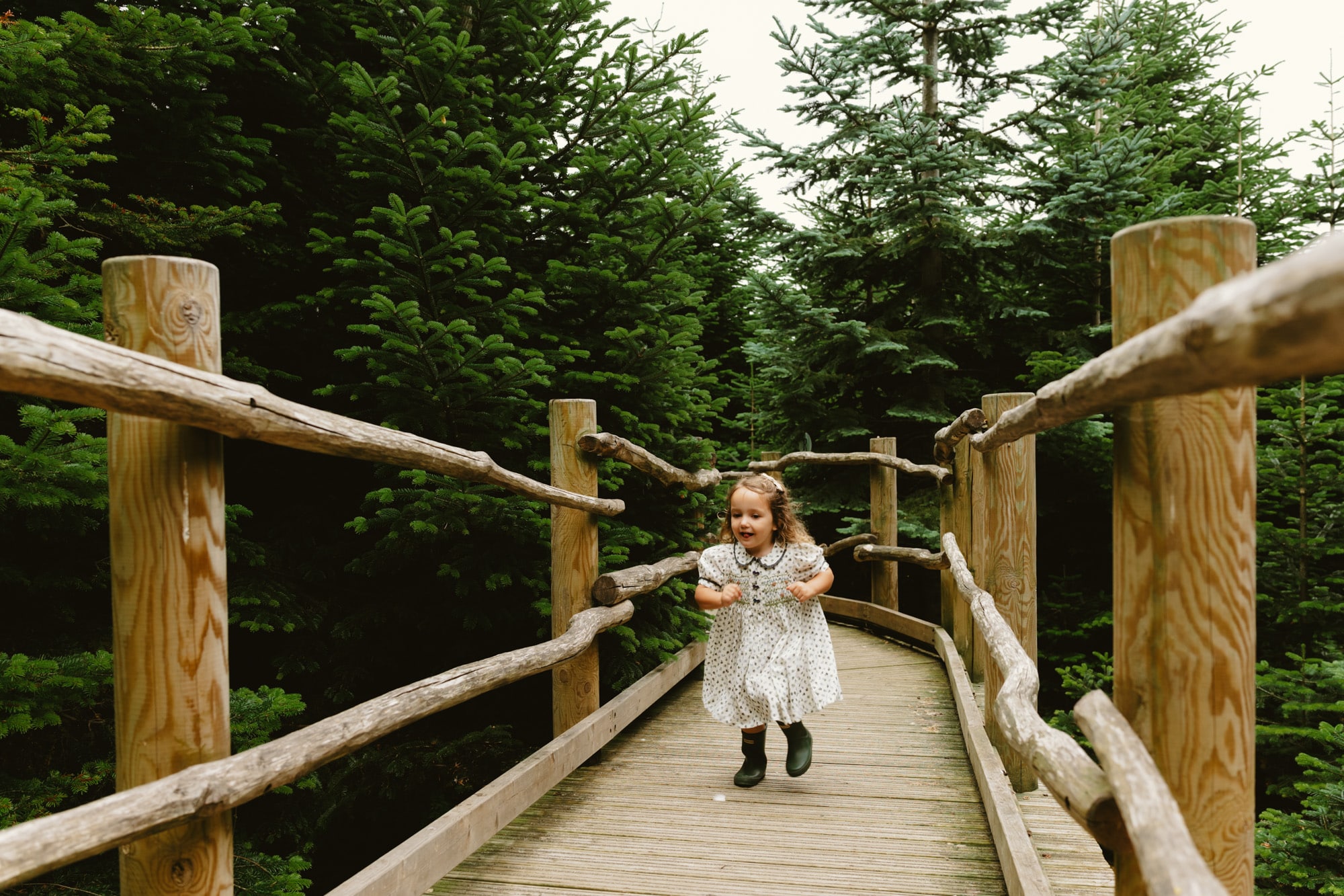 The Plotters’ Forest Woodland Playground at Raby Castle Children playing among wooden structures and treetop tunnels in the woodland adventure playground at Raby Castle.