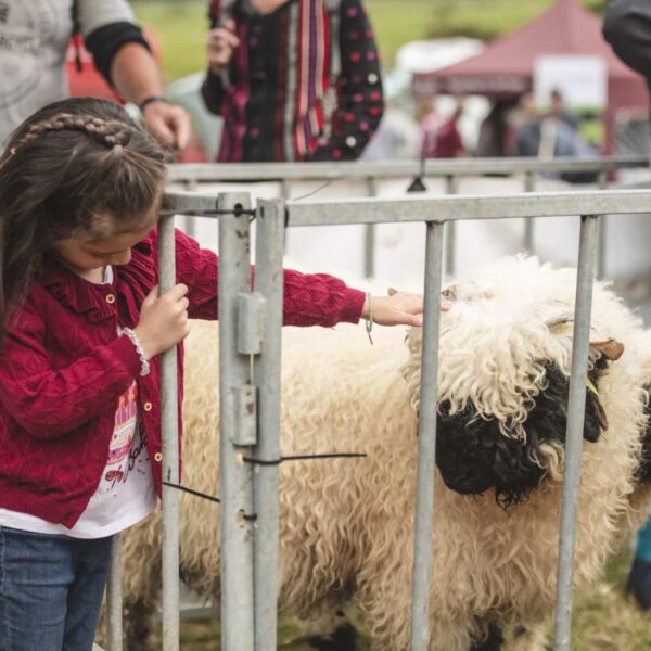Open Farm Sunday at Raby Castle, Park and Gardens