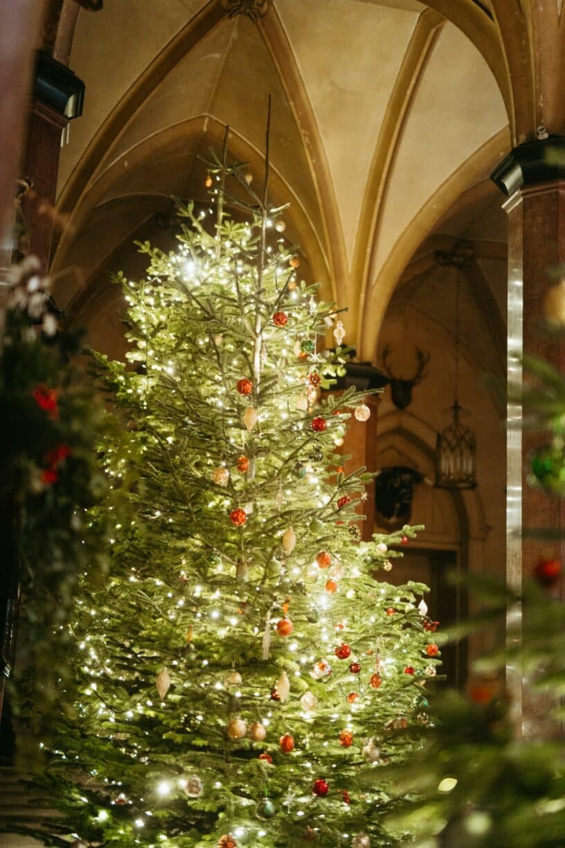 Festive Afternoon Tea at Raby Castle Park and Gardens Christmas events near me county durham