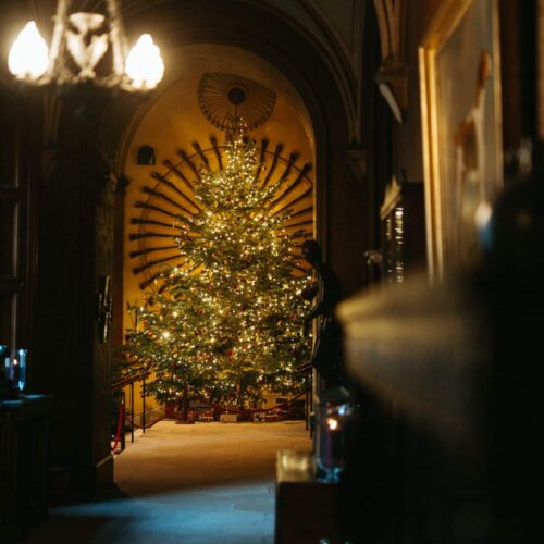 Festive Afternoon Tea Raby Castle