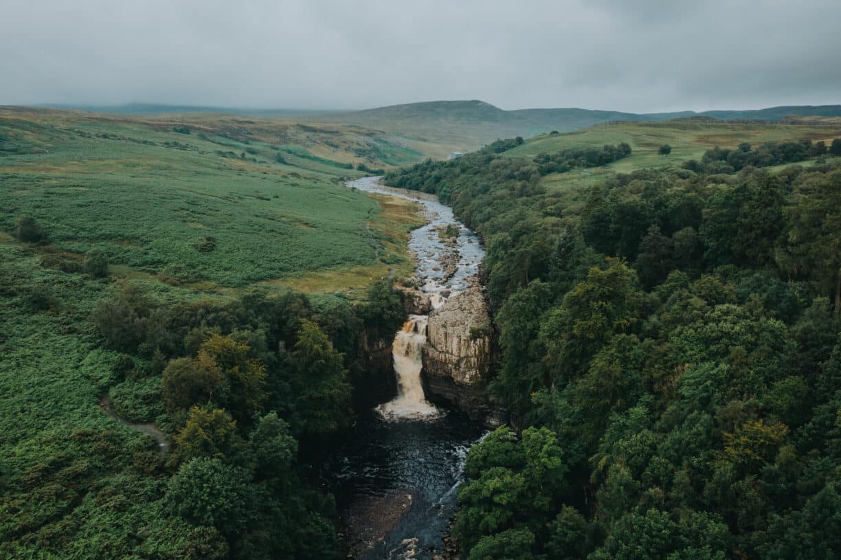 A stunning view of High Force Waterfall surrounded by lush green trees and vibrant spring flowers, showcasing the beauty of nature in the early days of spring