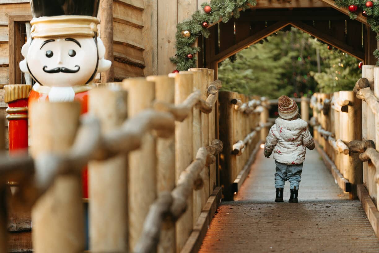 The Plotters’ Forest Enchanted Christmas Trail, Park and Garden Tickets