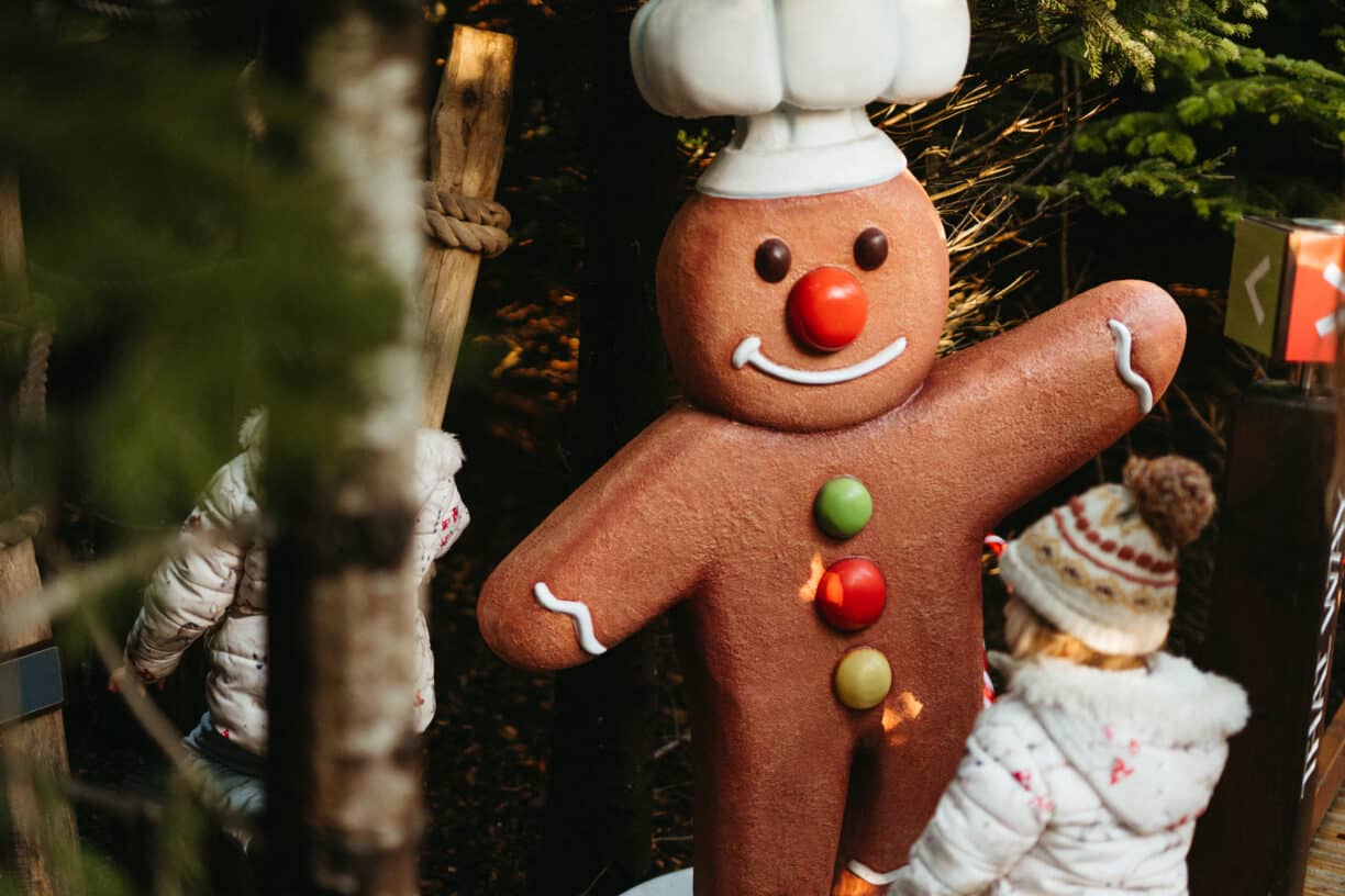 The Plotters’ Forest Enchanted Christmas Trail, Park and Garden Tickets