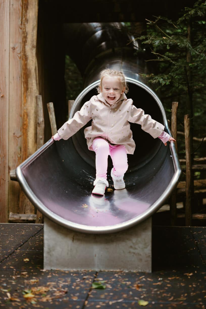 The Plotters' Forest, Castle, Park and Gardens, County Durham