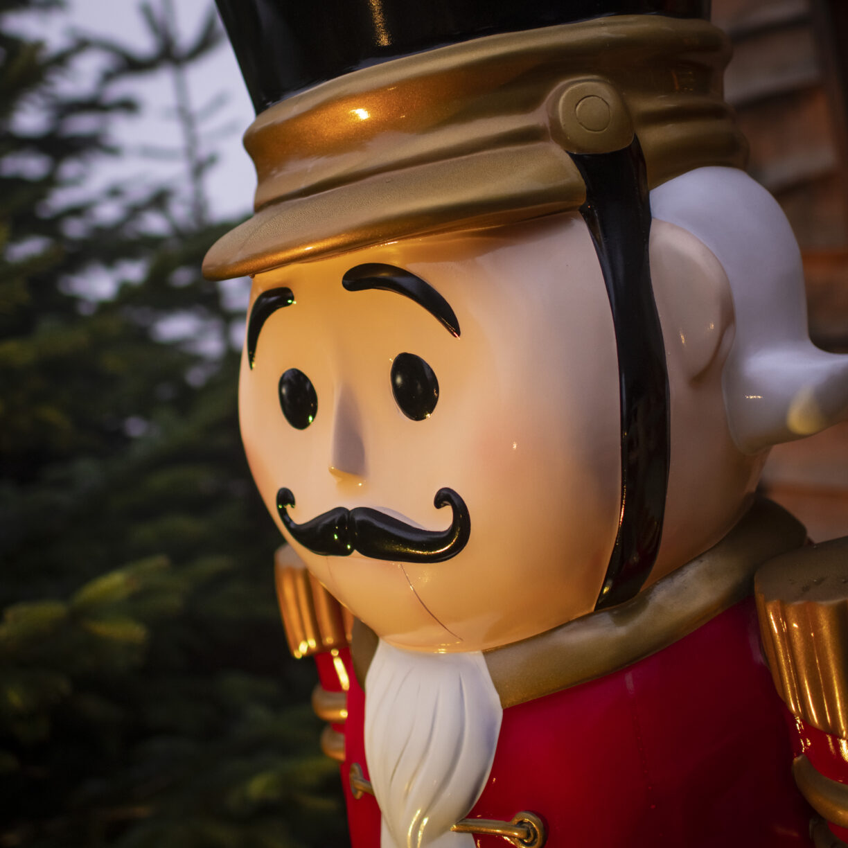 The Plotters Forest Enchanted Christmas Trail, Raby Castle, Park and Gardens