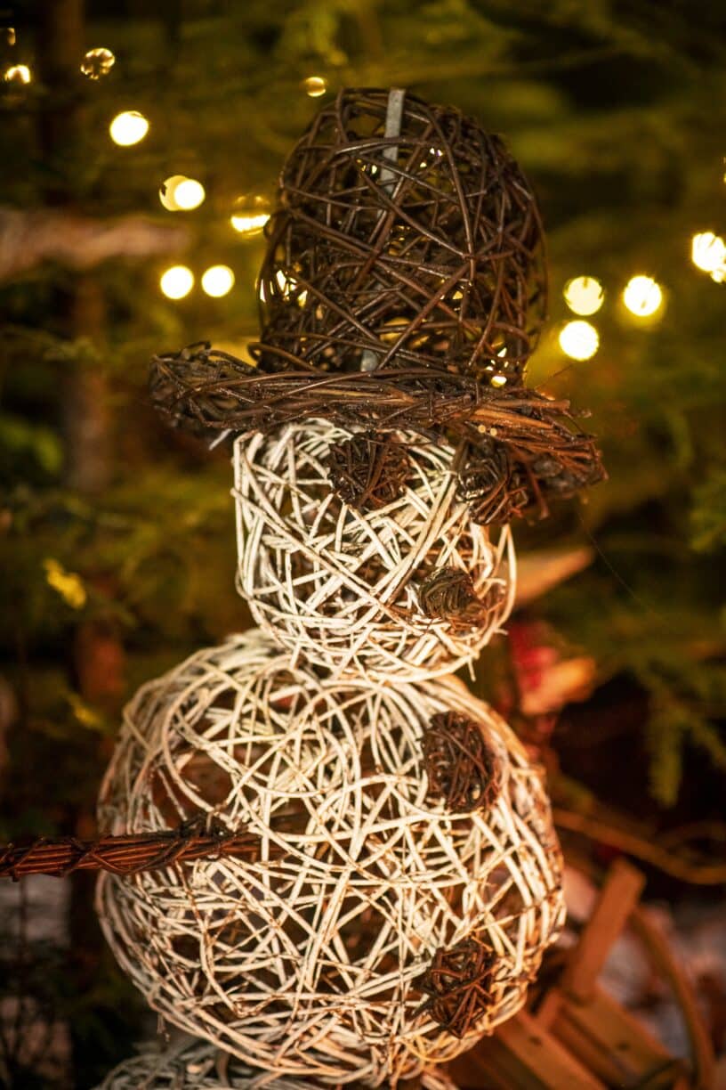 The Plotters Forest Enchanted Christmas Trail, Raby Castle, Park and Gardens
