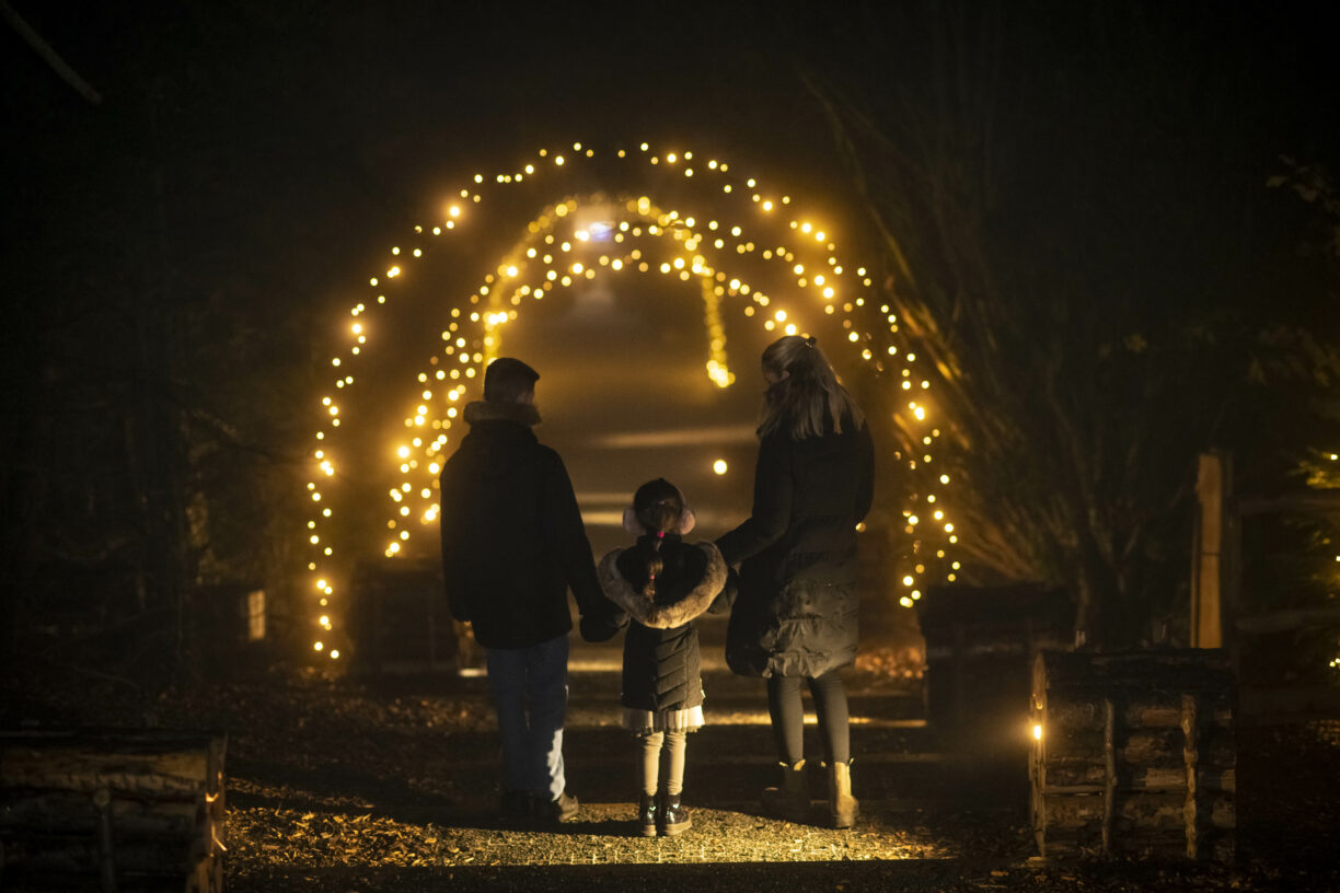 The Plotters Forest Enchanted Christmas Trail, Raby Castle, Park and Gardens
