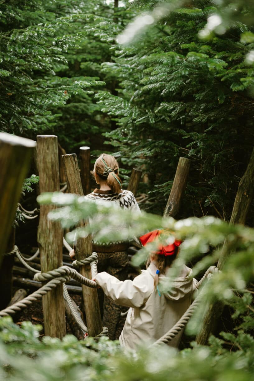 The Plotters' Forest, Castle, Park and Gardens, County Durham