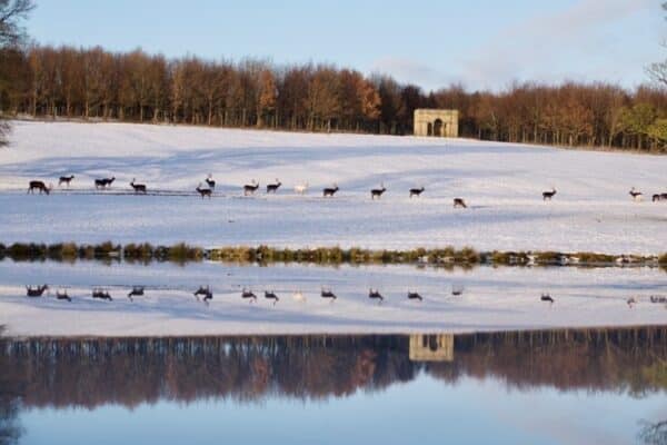 Folly in the snow