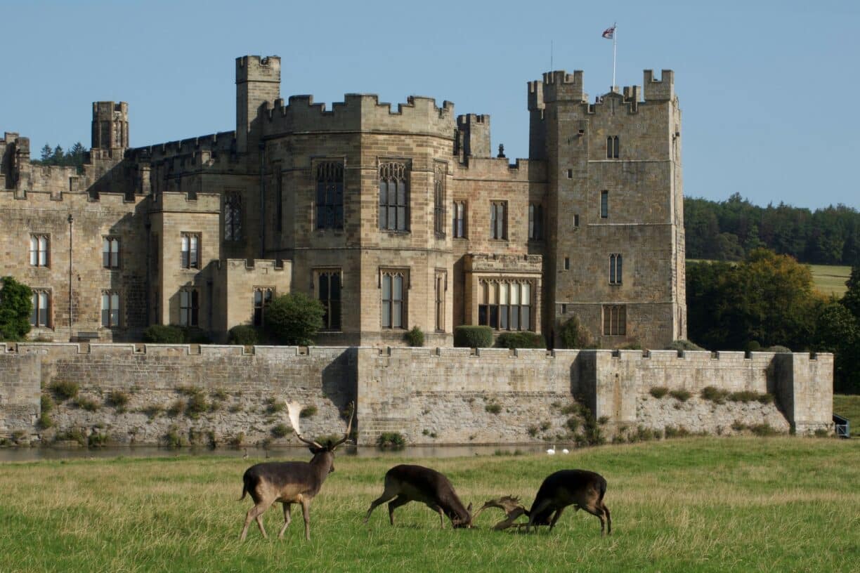 Deer Rut at Raby Castle