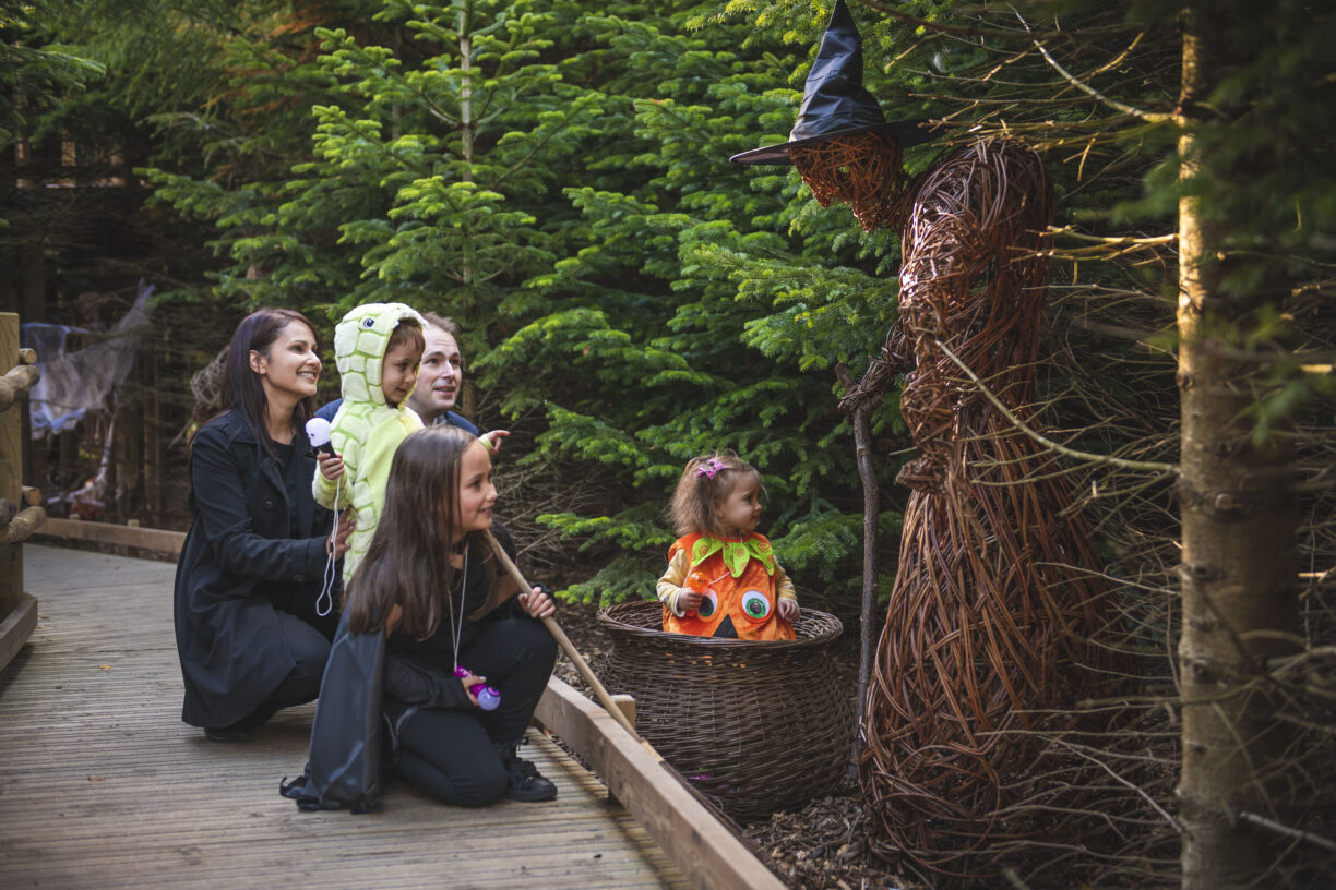 The Plotters' Forest Halloween Raby