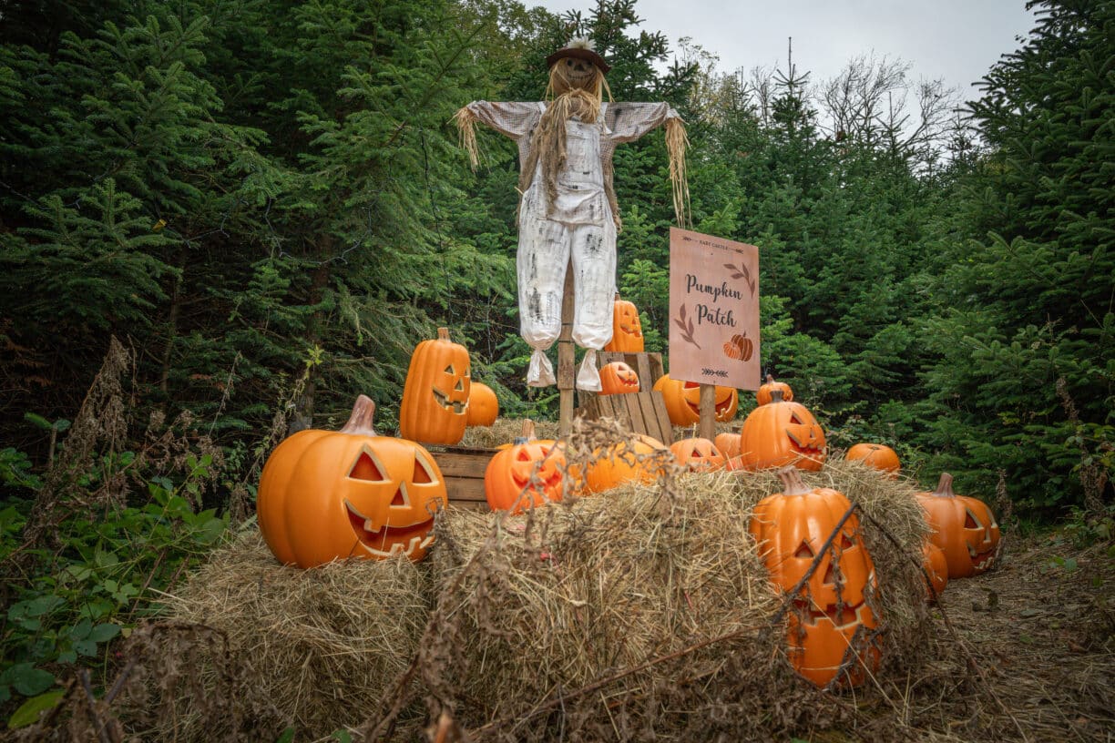 Halloween at The Plotters' Forest, Raby Castle, County Durham