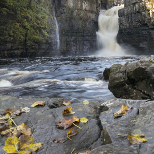 High Force Autumn