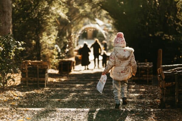 Christmas Trail