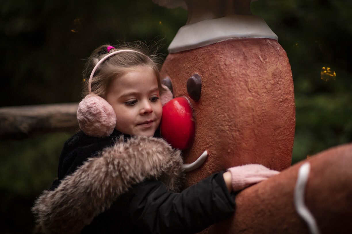 A glowing woodland trail lit with fairy lights and festive decorations at night, creating a magical Christmas scene at The Plotters’ Forest.