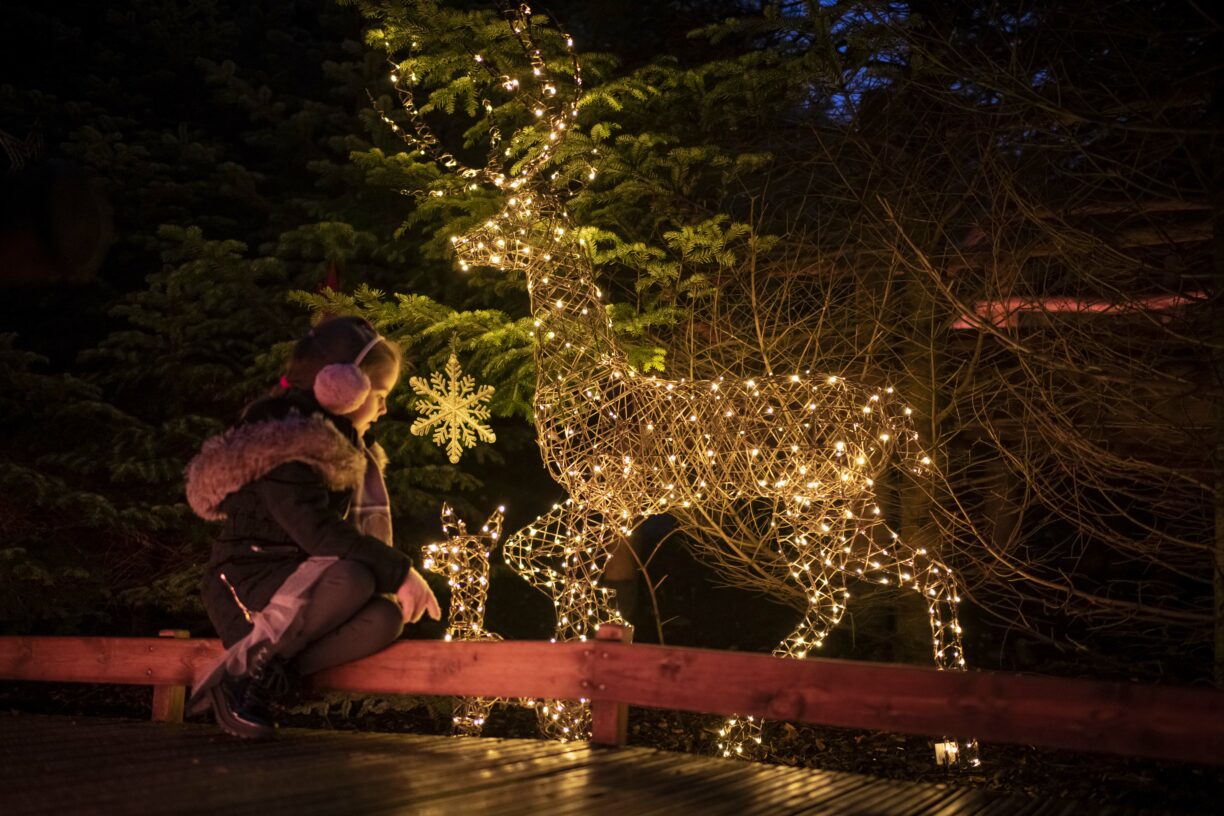 Children walking along a magical woodland path at dusk, surrounded by glowing fairy lights and festive decorations.