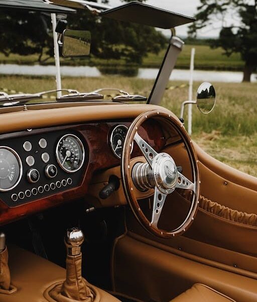 Classic car show at raby castle park and gardens