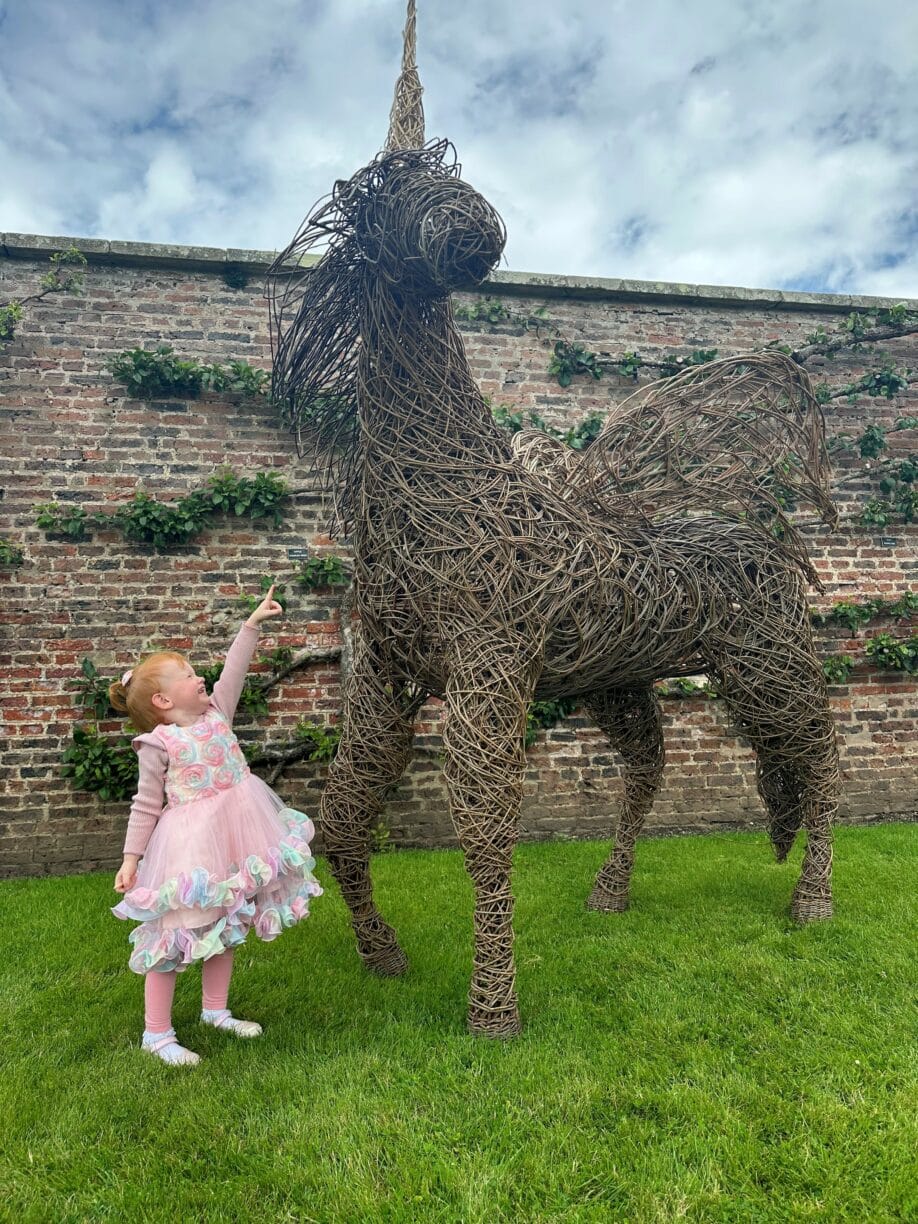 Rabys Unicorn
