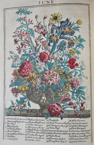 Botany Book 'the flower garden display'