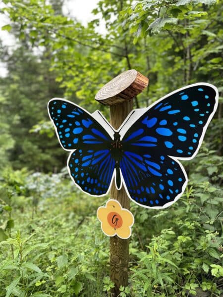 Butterflies and Bumblebees trail